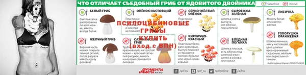 spice Вяземский